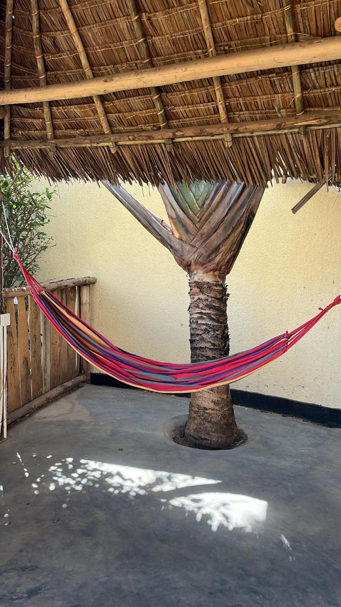 Stasumo House Arusha Bed and Breakfast Exteriör bild