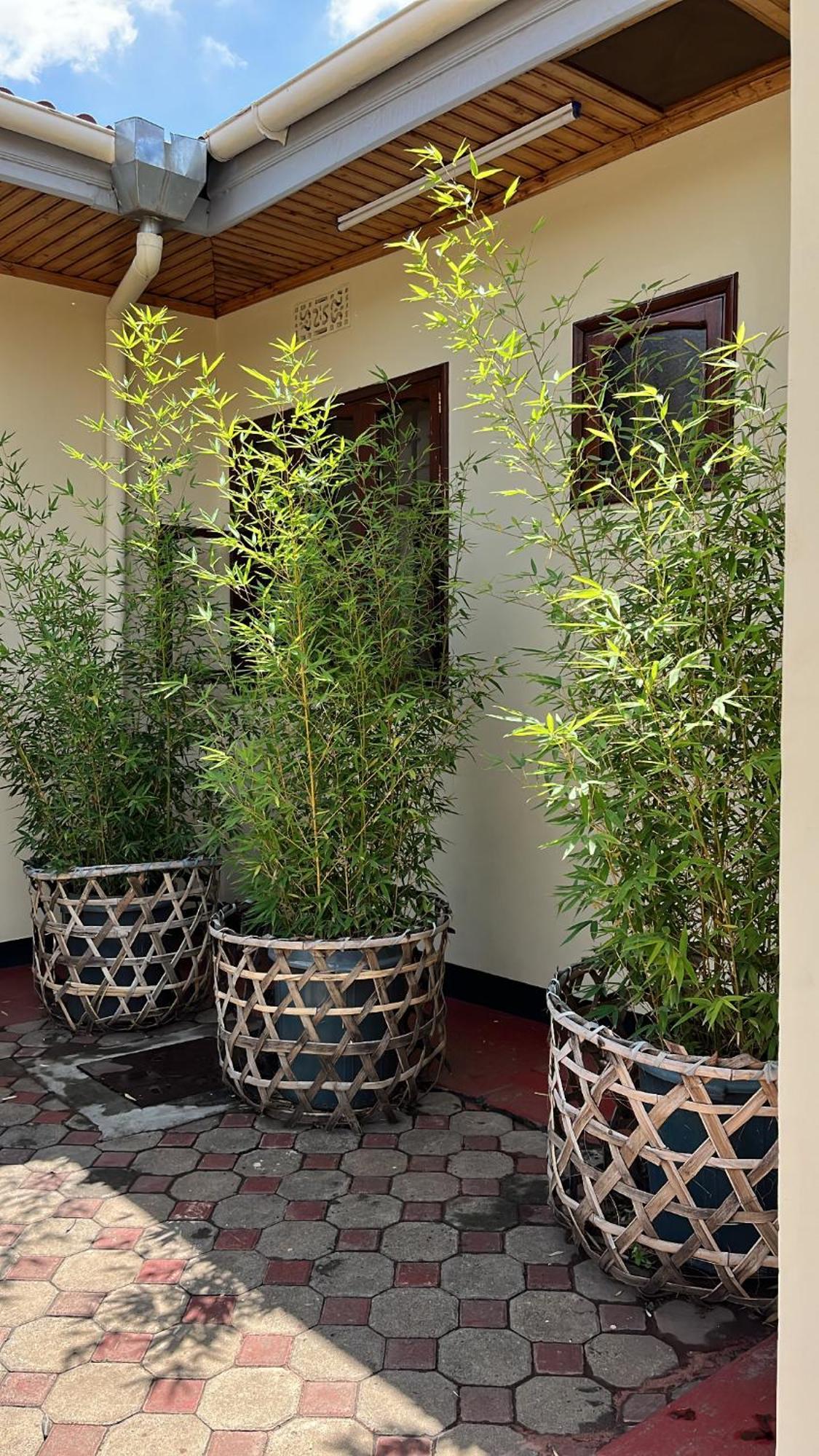 Stasumo House Arusha Bed and Breakfast Exteriör bild